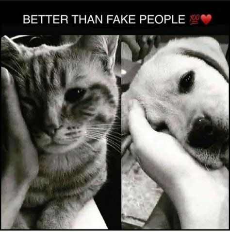 animals are better than fake people quotes